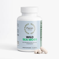 Wild Sea Moss 2 Bottle Discount