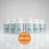 Gemini_Generated_Image_3568jk3568jk3568.png__PID:a6f22fb5-9b9e-48b4-939f-7b51e3be1247